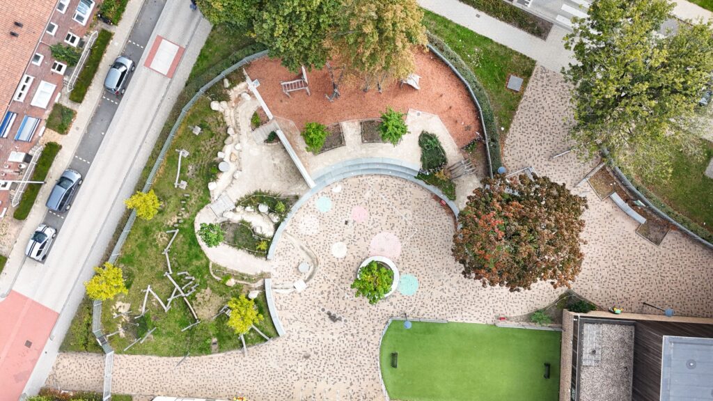 Luchtfoto van de droomboom