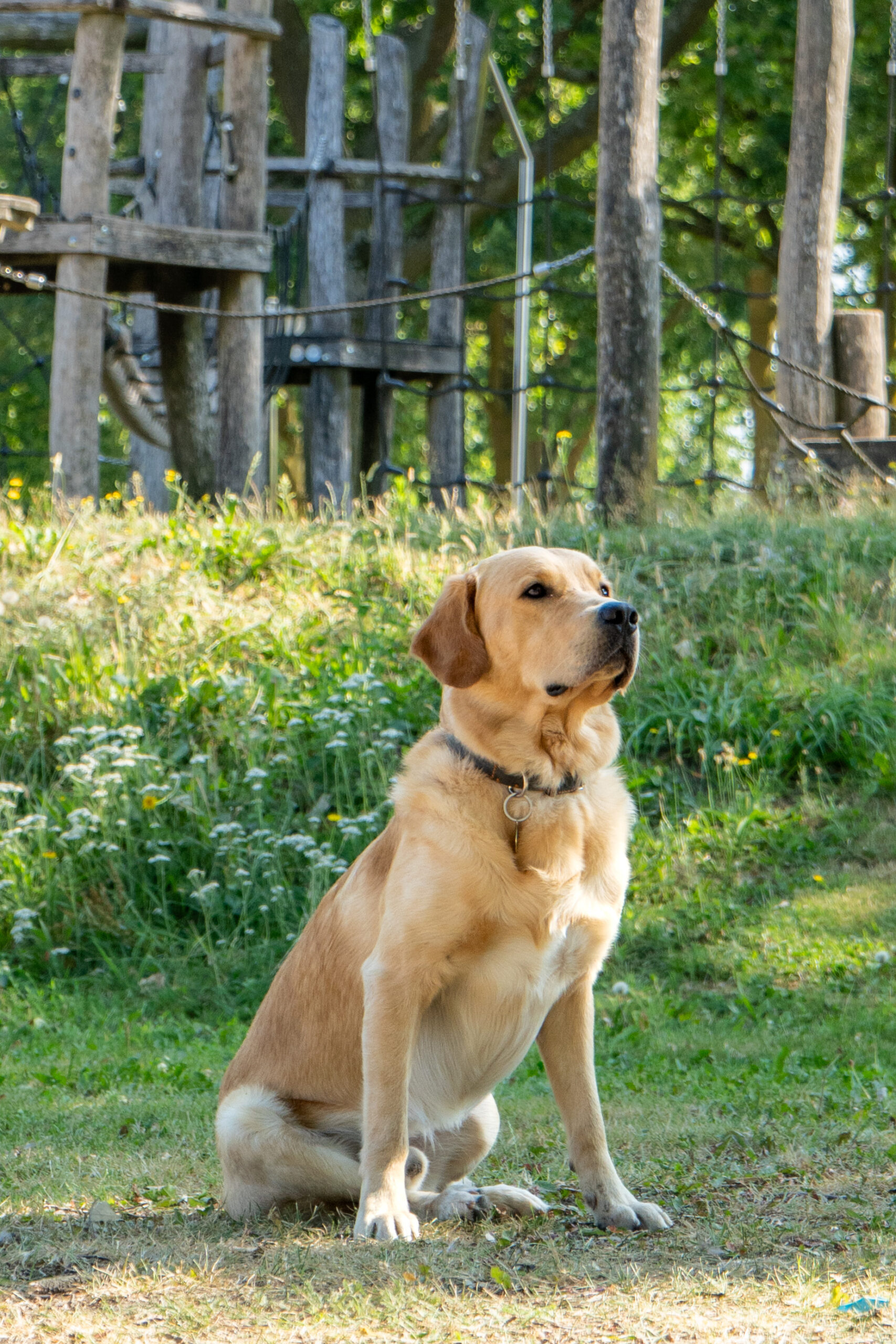 Frenkie | SNK Outdoor Speel- en sportplaatsen