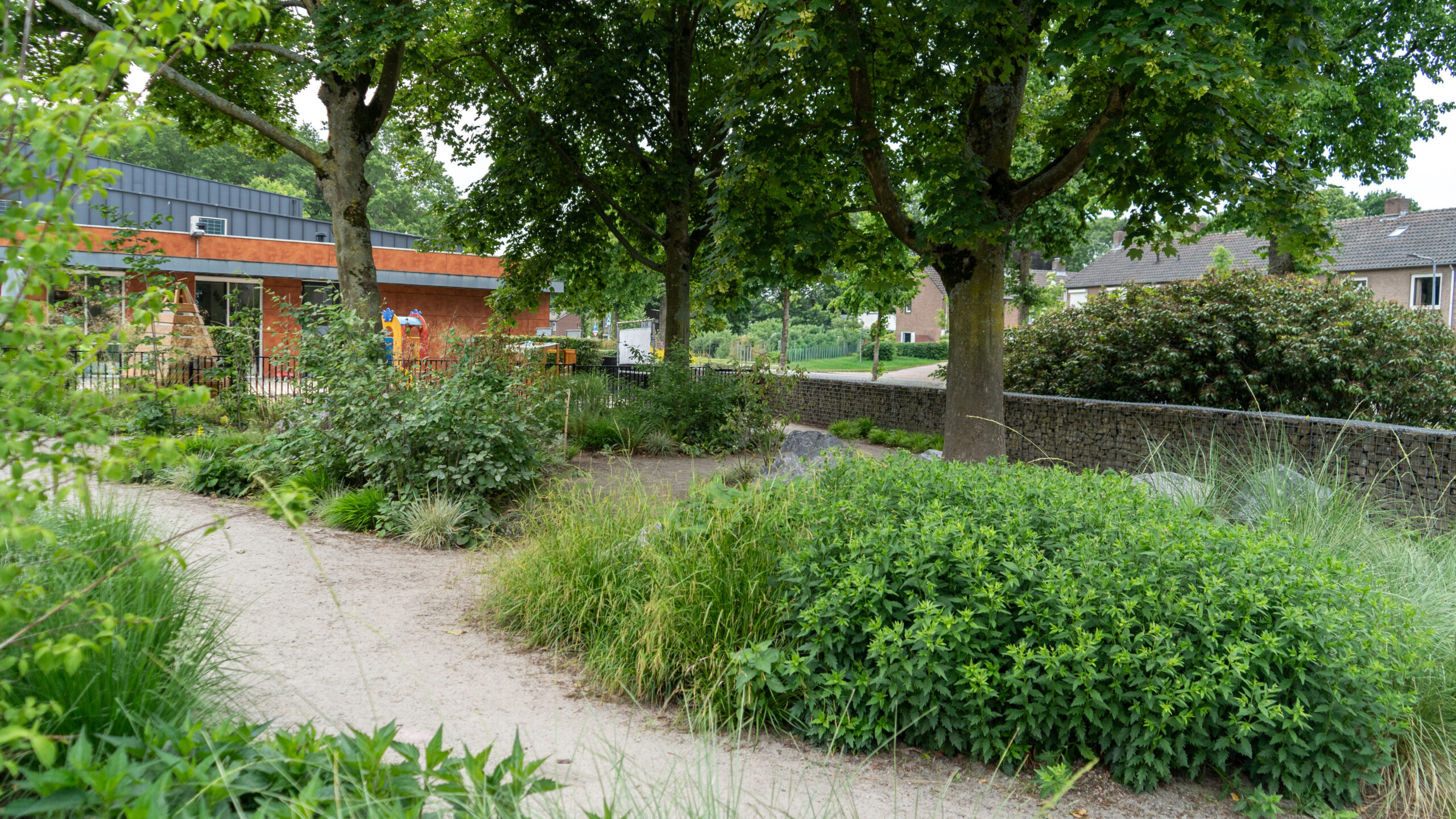 Aan de Bron Weert Speelbos op groenblauw schoolplein aan de Bron in Weert