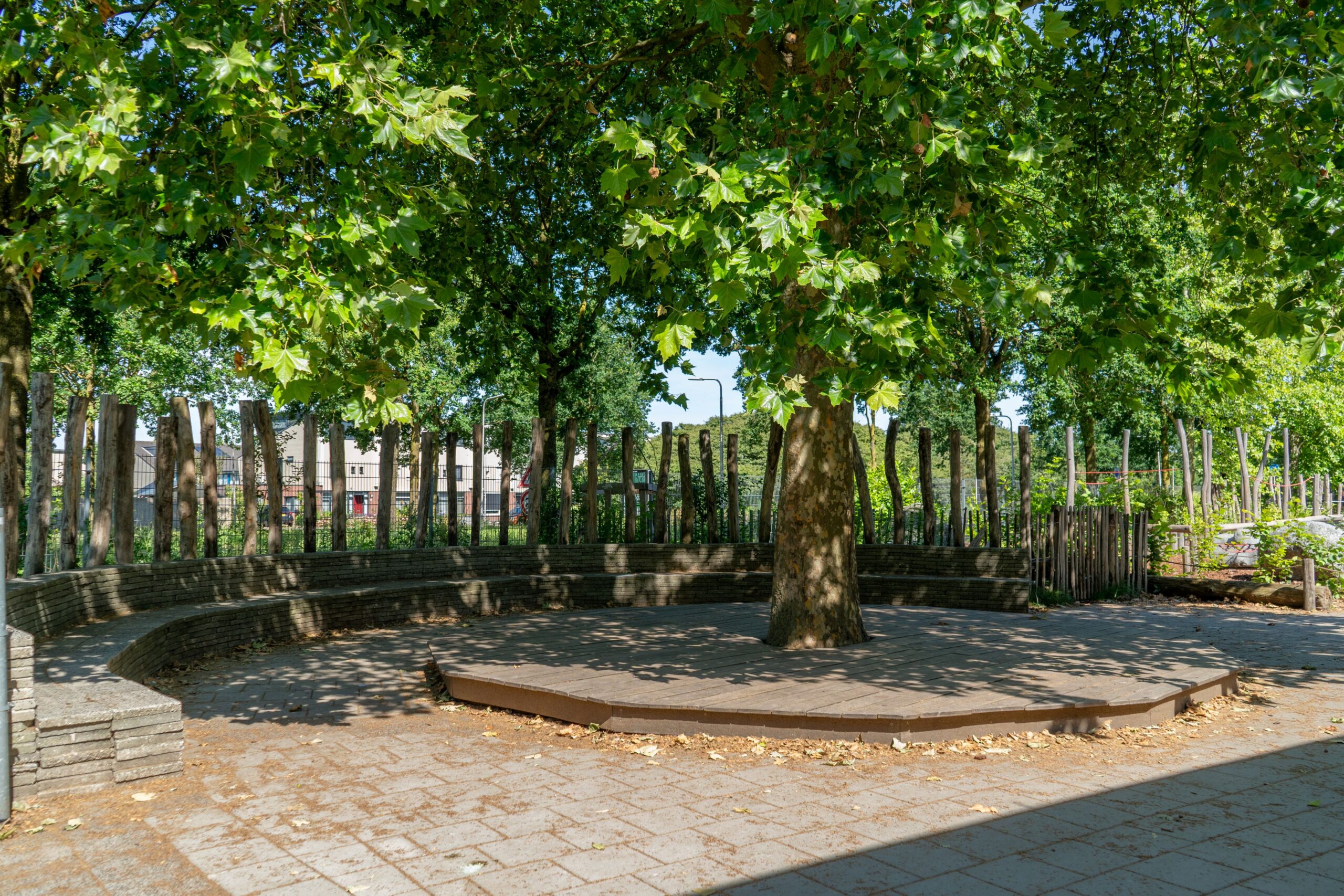 Montessori Kindcentrum De Petteflet Tribune onder boom met podium vlonder op groen schoolplein als buitenlokaal en amfitheater