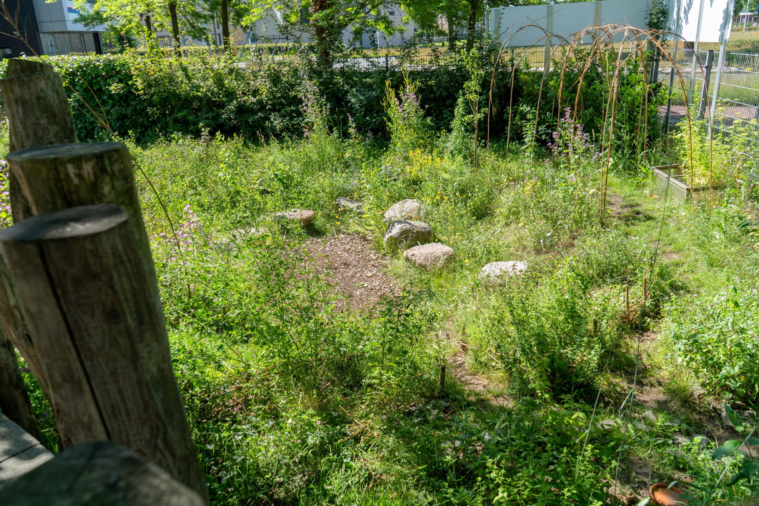 Petteflet Tilburg bewerkt-43 Grote Wadi met veel groen voor het opvangen van water